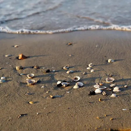 Sunny Flat With A Generous Terrace Апартаменти