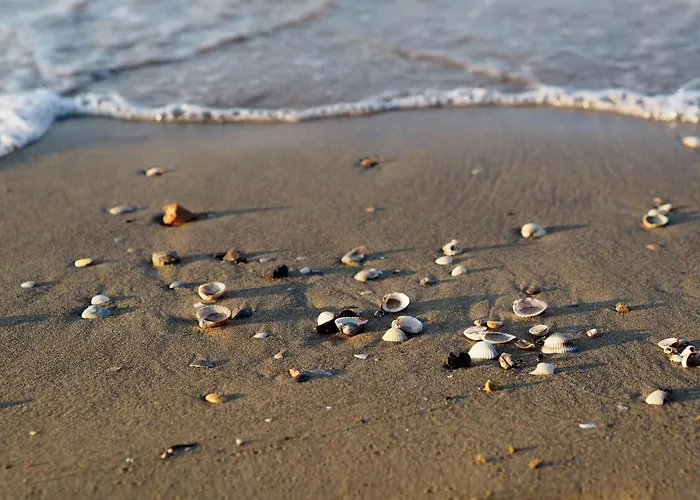 Sunny Flat With A Generous Terrace Appartement